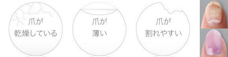 ���܂̋x���v���~�A�����T�C�g